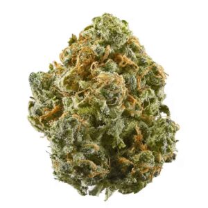 Buy Blue Dream Online Seychelles, featuring premium cannabis with 18% THC and 2% CBD, delivered across Mahe Islands