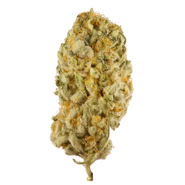 Buy Jack Herer Marijuana Seychelles