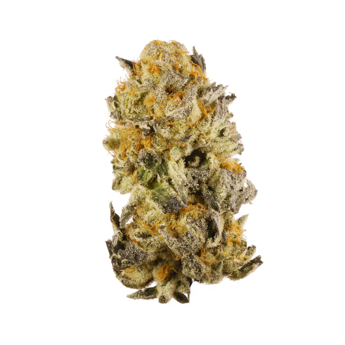 Platinum Girl Scout Cookies Seychelles