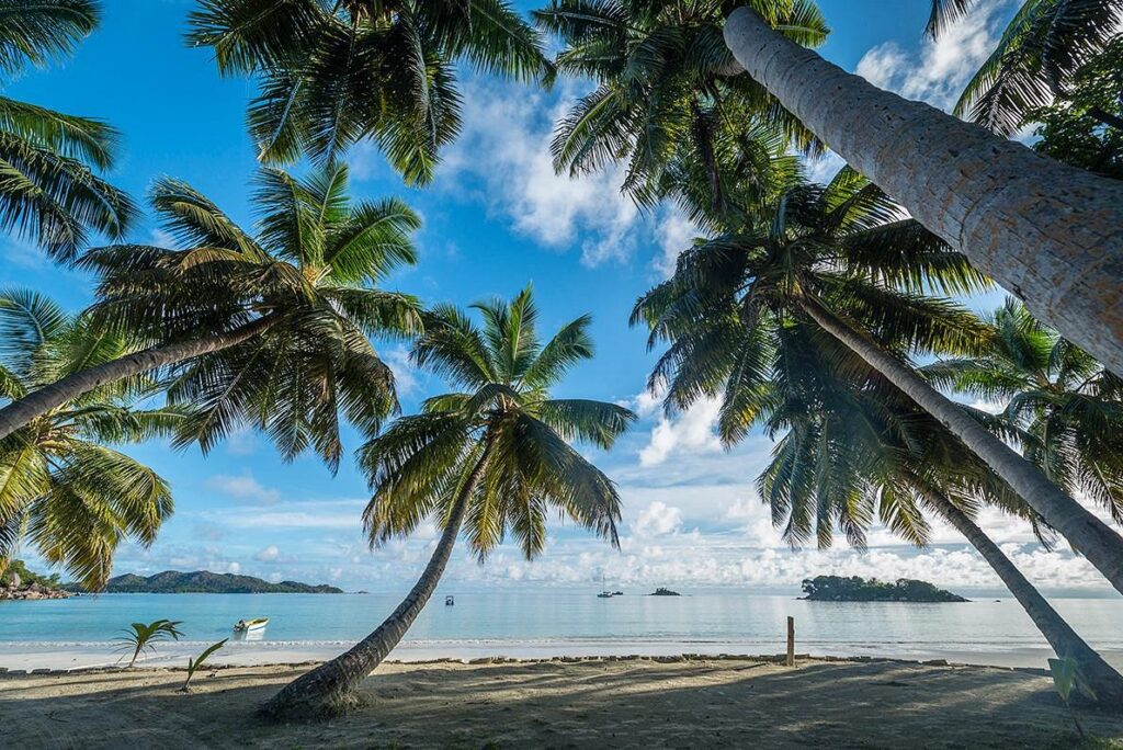 A tranquil Seychelles beach with a discreet drone delivering cannabis strains like Sour Diesel.