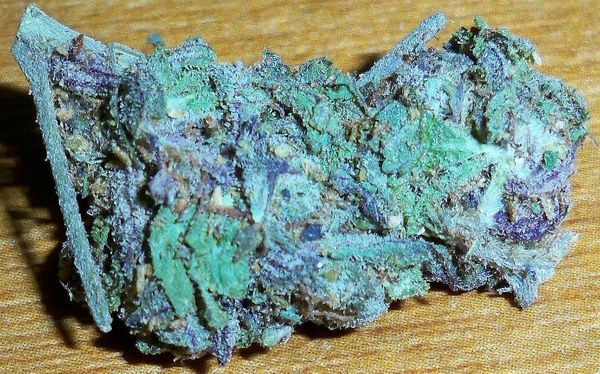 Buy Blue Dream Online Seychelles