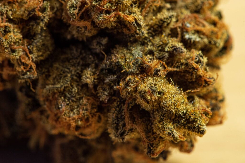 High-quality cannabis with 30% THC available for purchase online in Saint Louis and Seychelles.